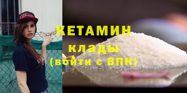 индика Инсар