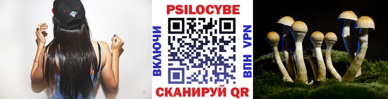 Псилоцибиновые грибы Psilocybine cubensis  Купить закладки  Фролово 